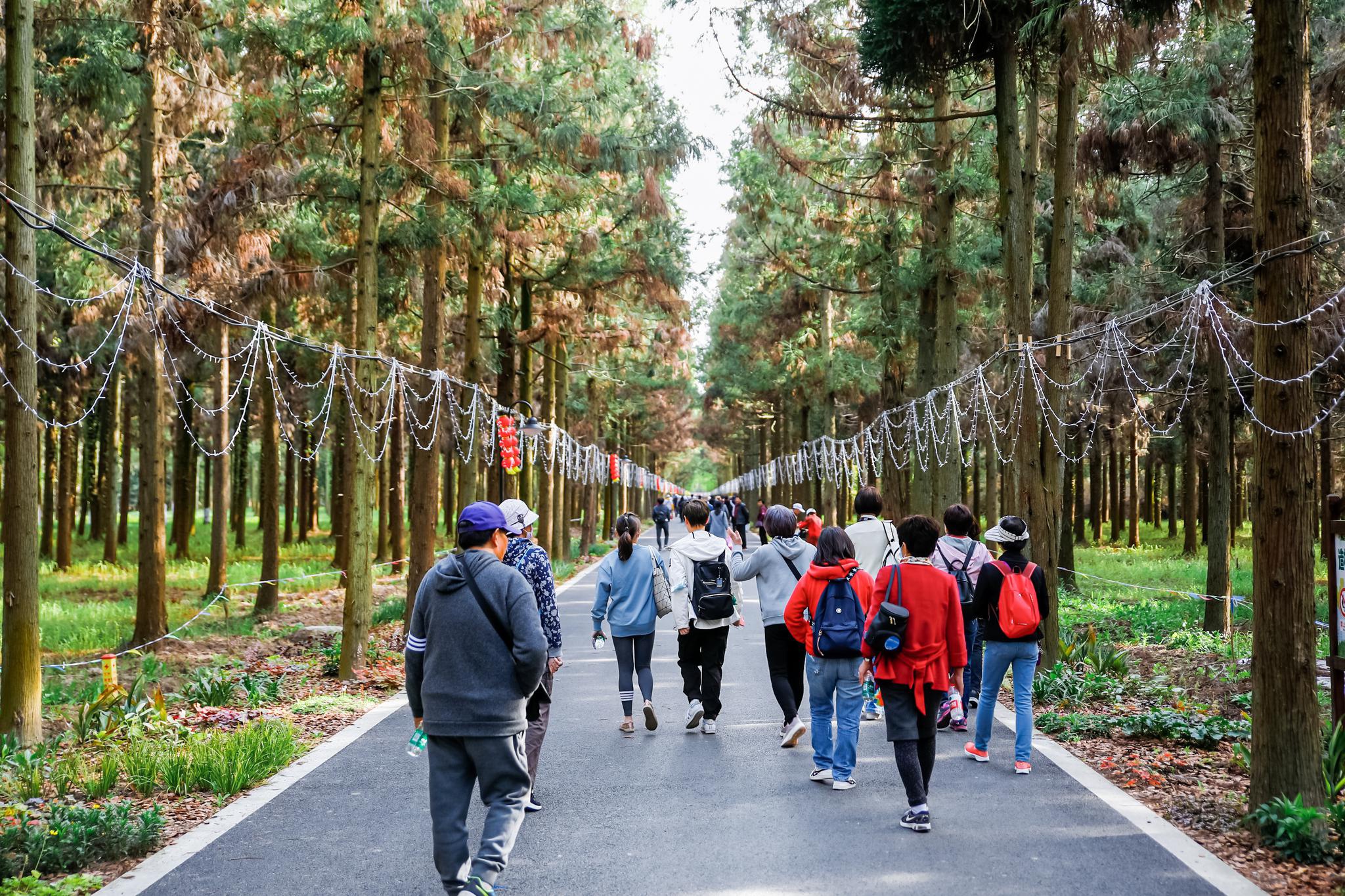 新华财经|不再只是看风景！旅游消费从“观光”迈向“沉浸”
