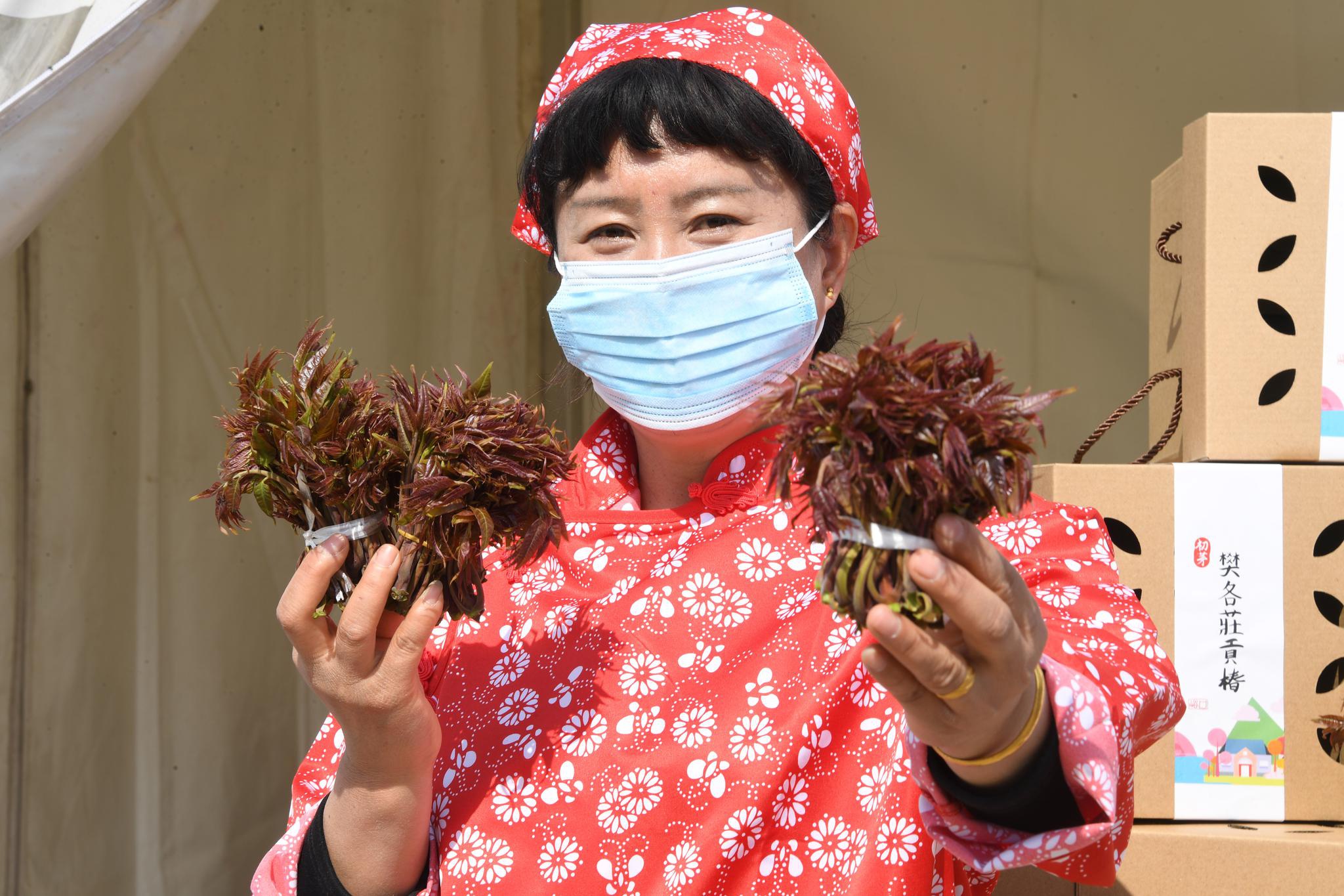 北京平谷区峪口镇第七届香椿文化节开幕