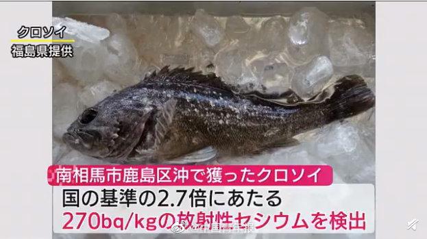 日本福岛鱼类因放射物质超标被禁止上市