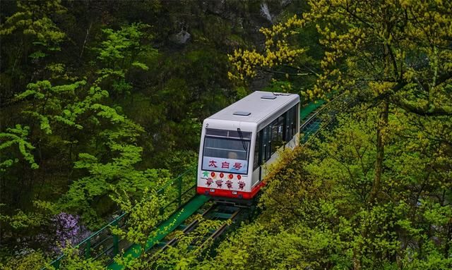 庐山三日行,追梦三叠泉