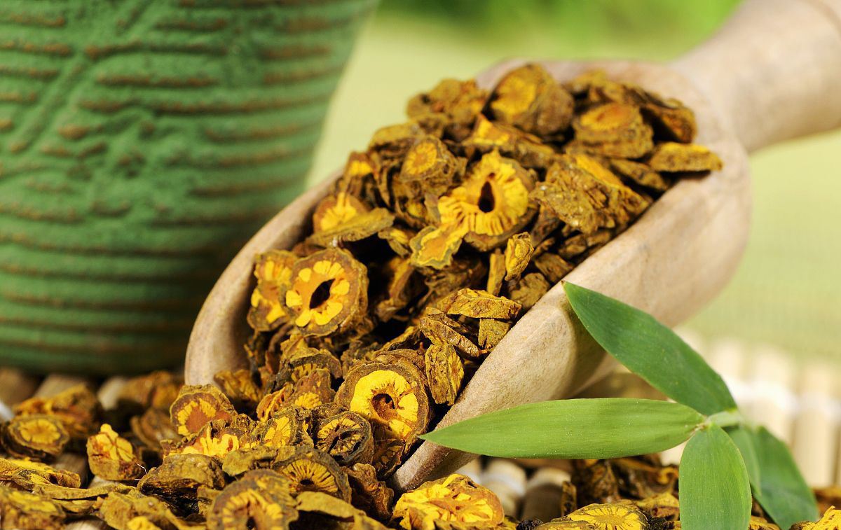 黄连是最苦的中药但是你知道它的作用吗这5个功效太强大了人生中最苦