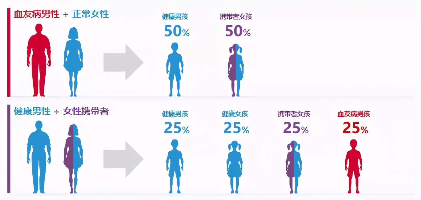 血友病具有遗传性,多数患者生来患病且有家族史.