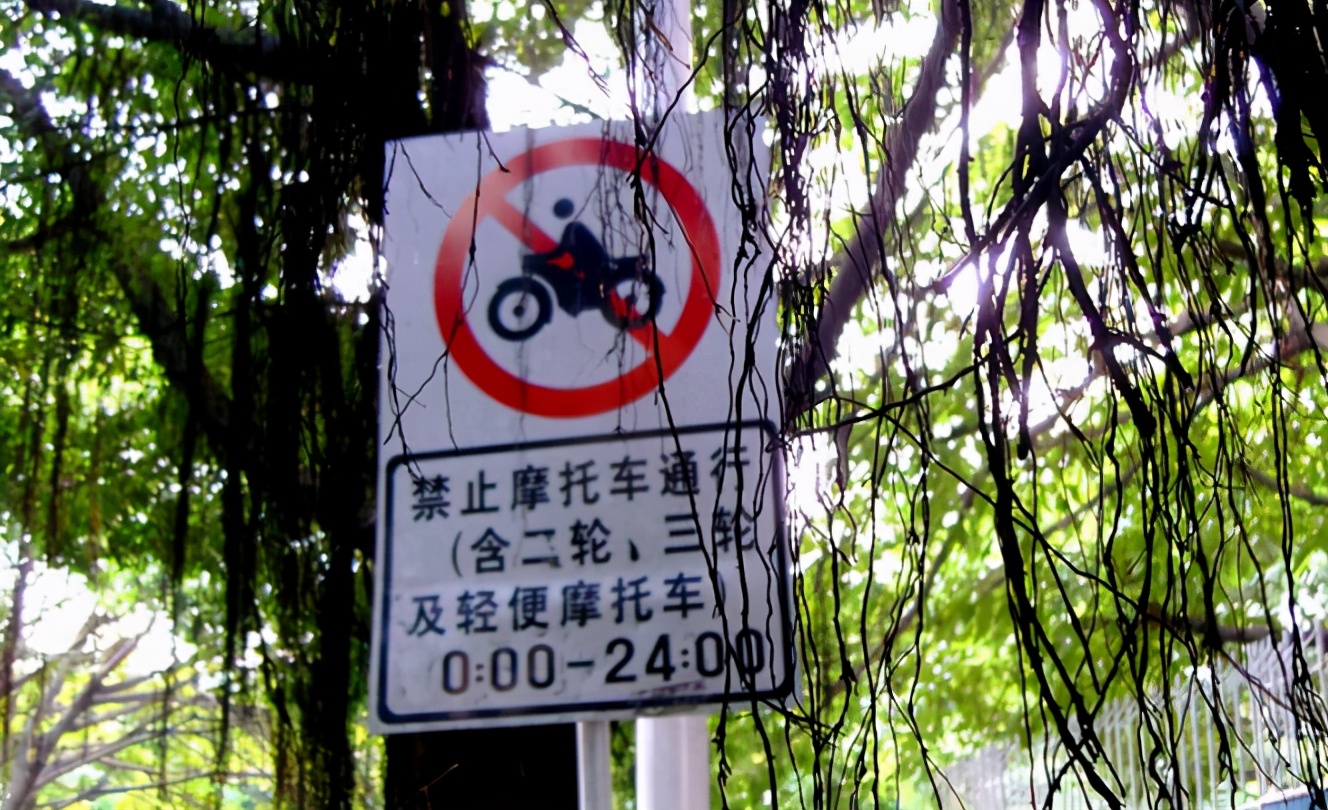 摩托车被禁,电动车又来一条新规,网友:太"针对"广大家长了吧-新浪汽车