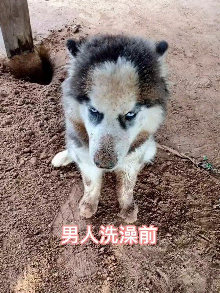 男生和女生洗澡前后对比,你同意吗?