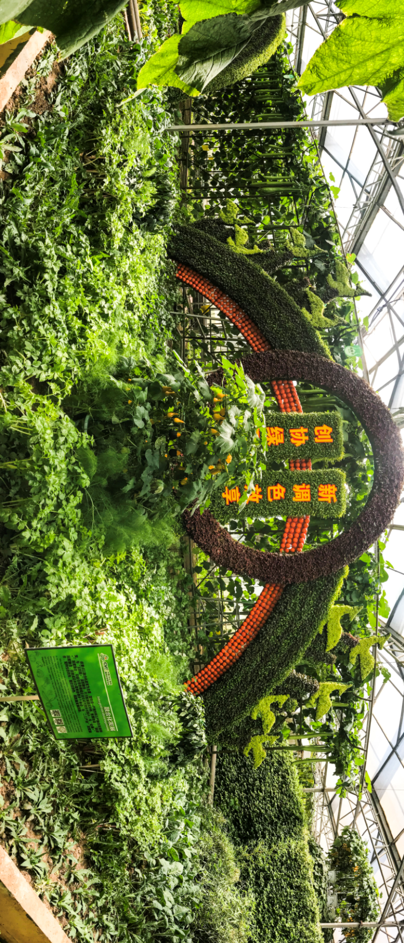 至5月30日蔬菜种业博览会开幕2021中国(寿光)国际国际蔬菜科技博览会