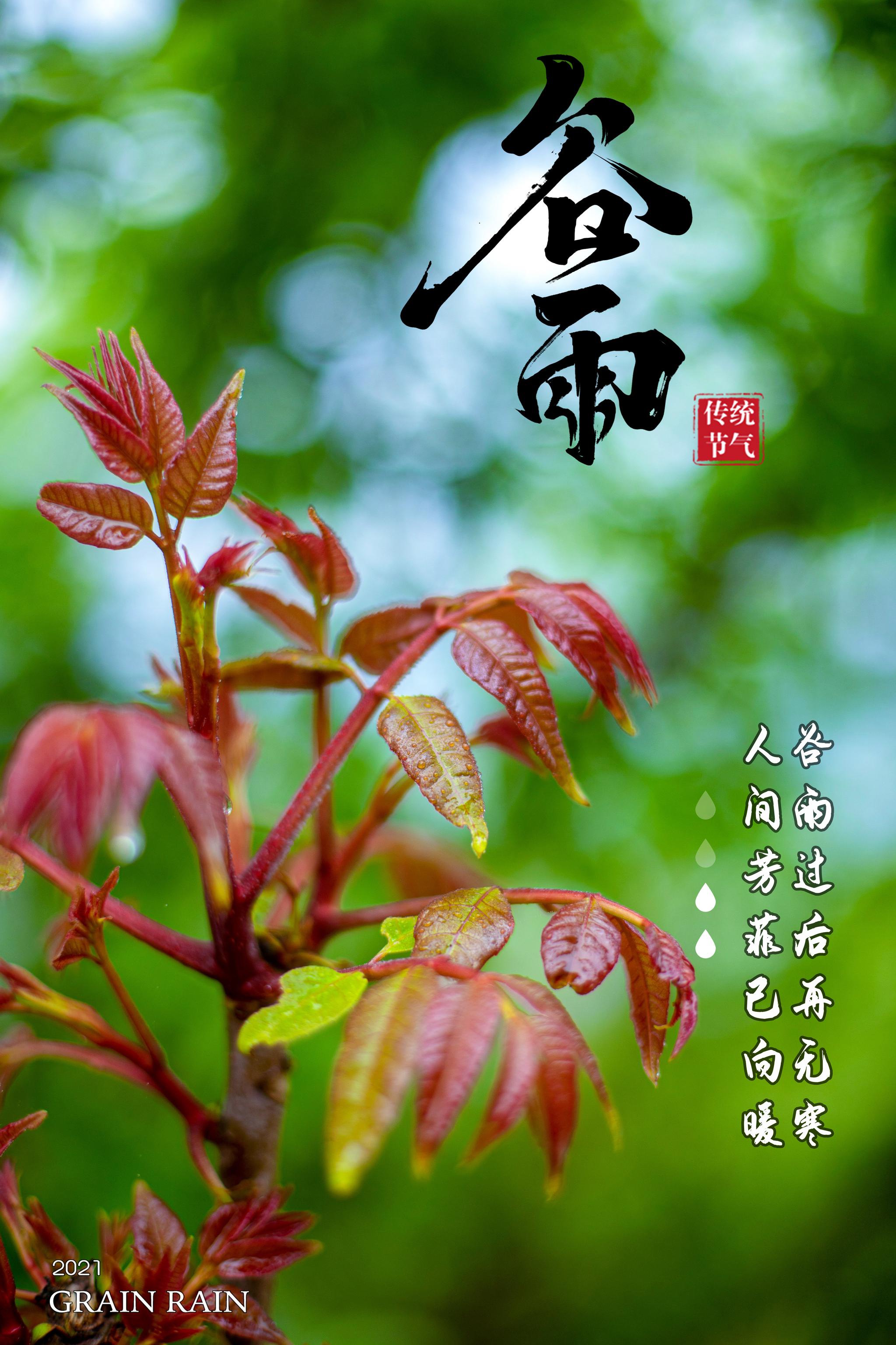 报节气雨生百谷