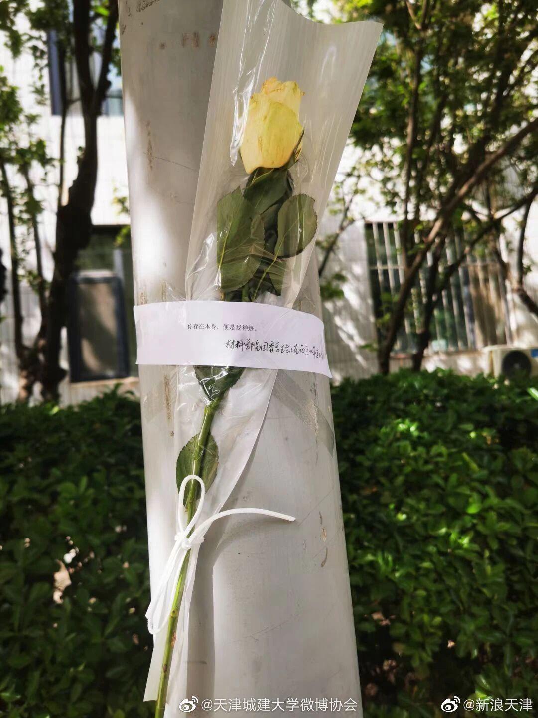 天津应急玫瑰现身天津高校