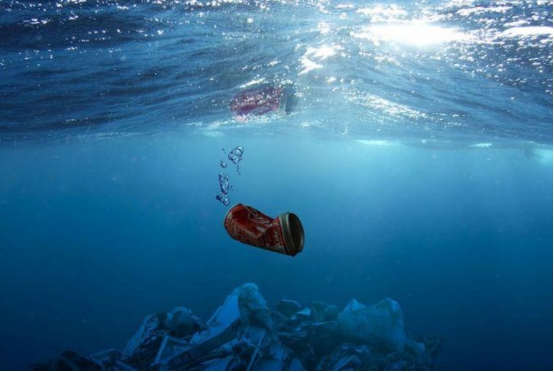 难怪支持日本核废水入海美国常年倾倒有毒废物25海狮患癌海洋那么美