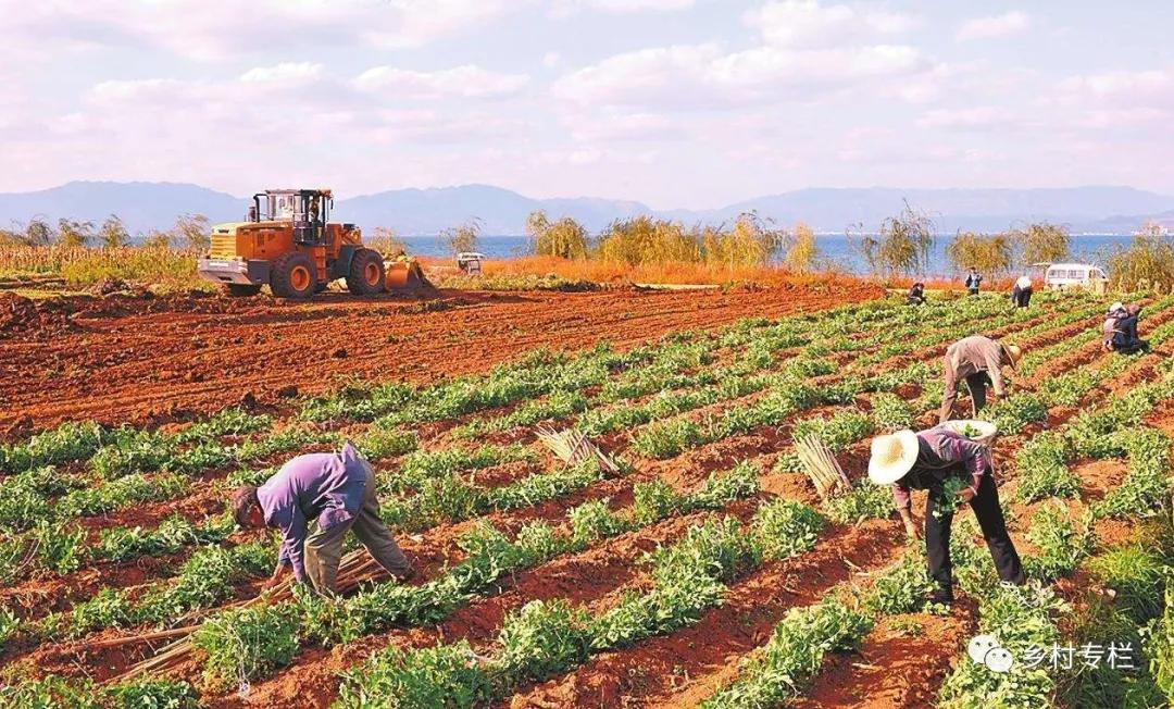 土地流转一块田一户一田还是一村一田农民同意吗