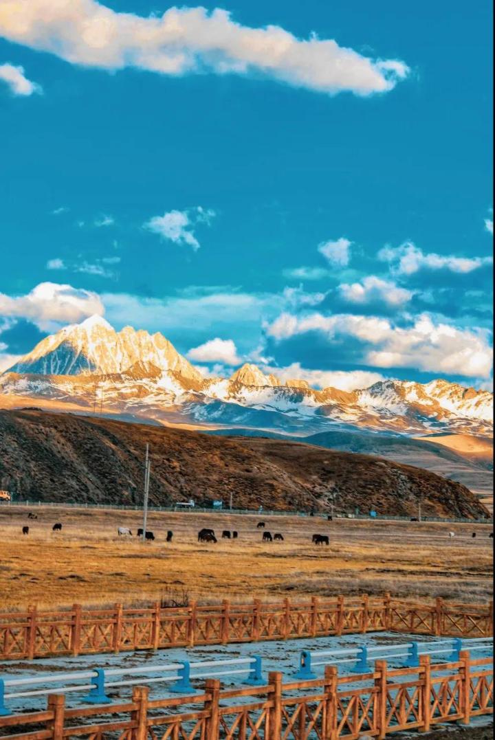 计划自驾进藏你该走哪条线路注意哪些事项