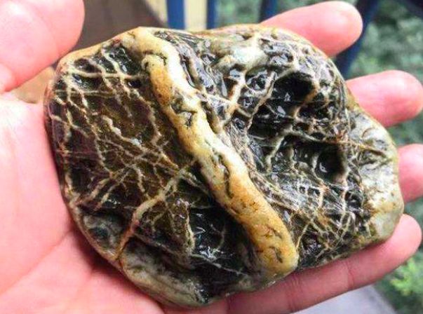 男子森林探险意外发现一块奇怪石头鉴定后难以想象