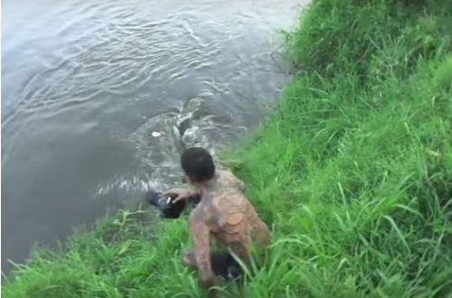 男子河边拍照被鳄鱼吓跑，没想到逃到高处后，不淡定了休闲区蓝鸢梦想 - Www.slyday.coM