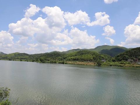 不可错过的"绝色"——飘逸香醇的耒阳|耒阳|鱼|耒河_新浪新闻