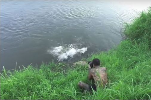 男子河边拍照被鳄鱼吓跑，没想到逃到高处后，不淡定了休闲区蓝鸢梦想 - Www.slyday.coM