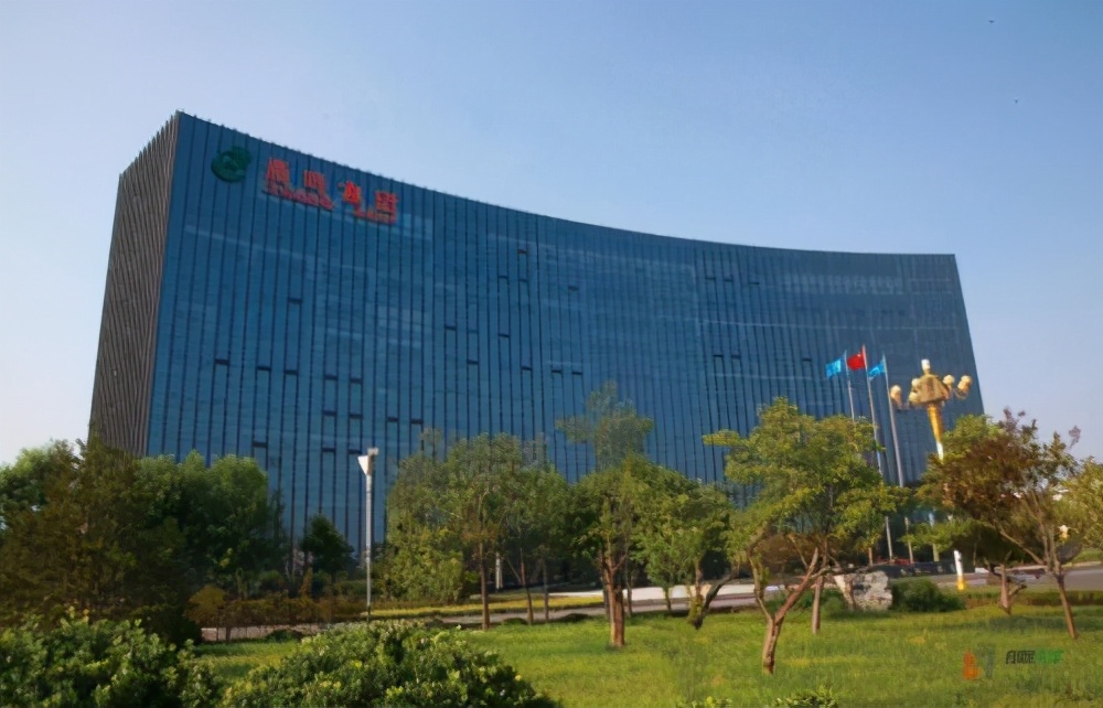 晨鸣纸业一季度净利润1179亿元同比增长481