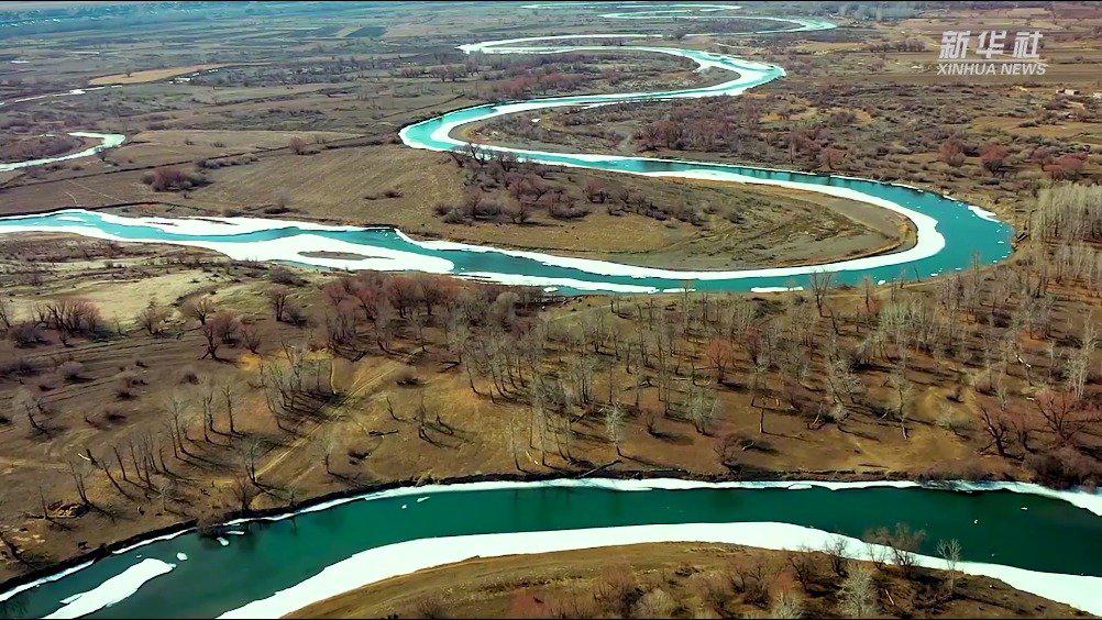 新疆乌伦古河迎来春天的使者