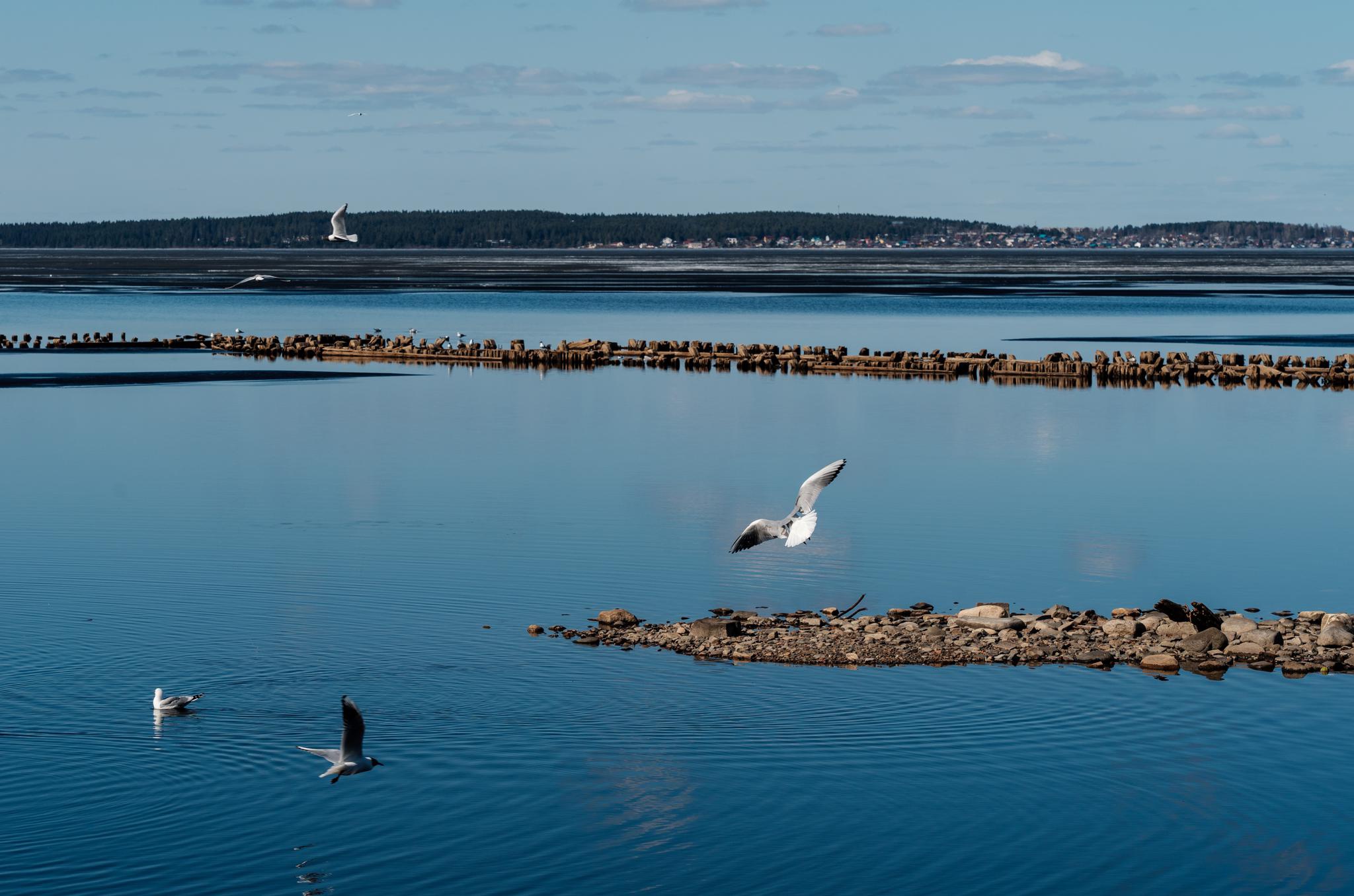 俄罗斯美丽湖景