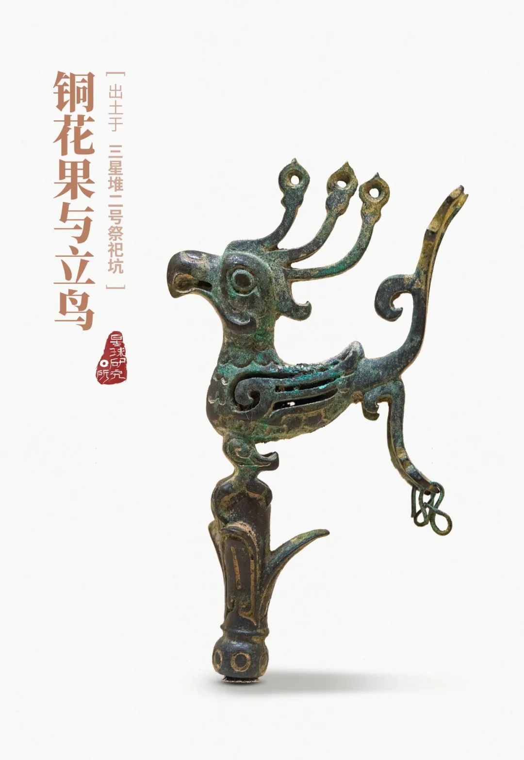 ▼(三星堆出土的铜花果与立鸟,摄影师@柳叶氘,制图@郑伯容/星球研究所