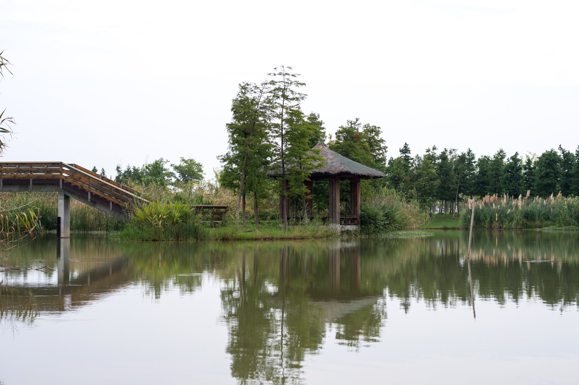 南京的后花园固城湖水慢城,不仅风景秀美,还有一座湿地动物园|高淳|固城湖|固城
