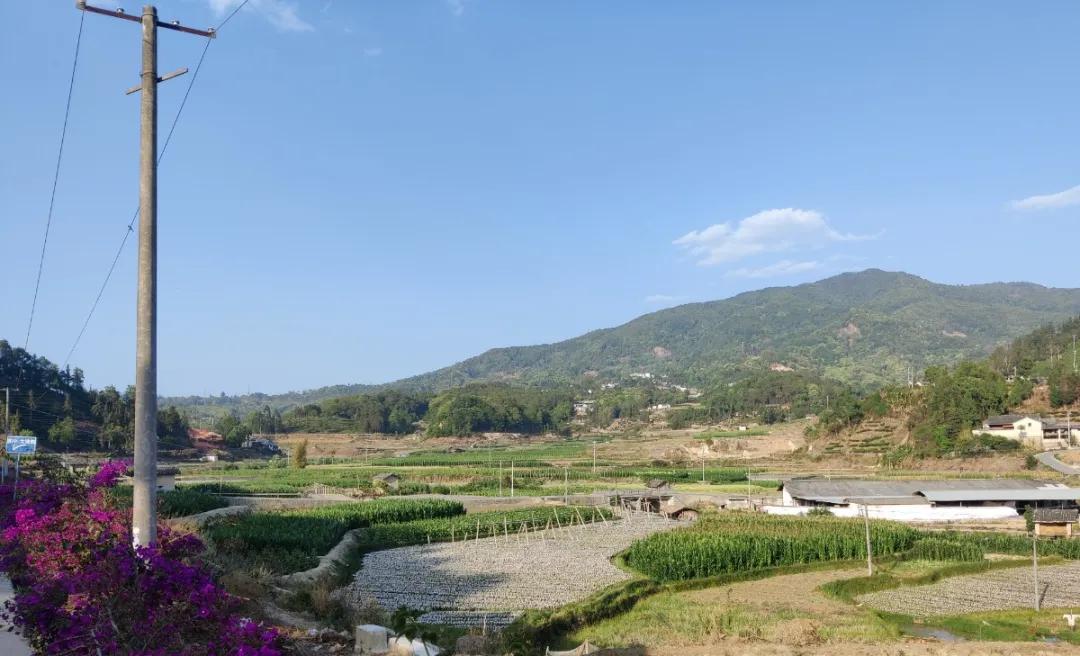 四月腾冲蒲川美