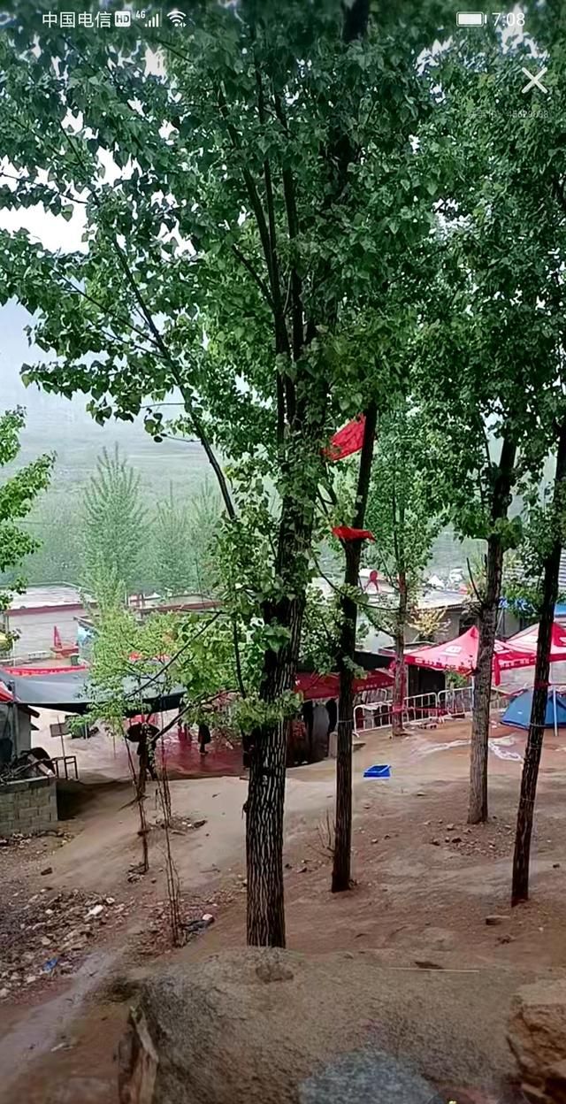 杨树行村秘史神秘枫叔保驾攻无不克饺子西施出航所向无敌