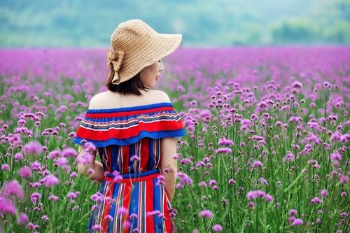 春天在花海花丛中拍照最美即使是用手机拍摄也能出大片