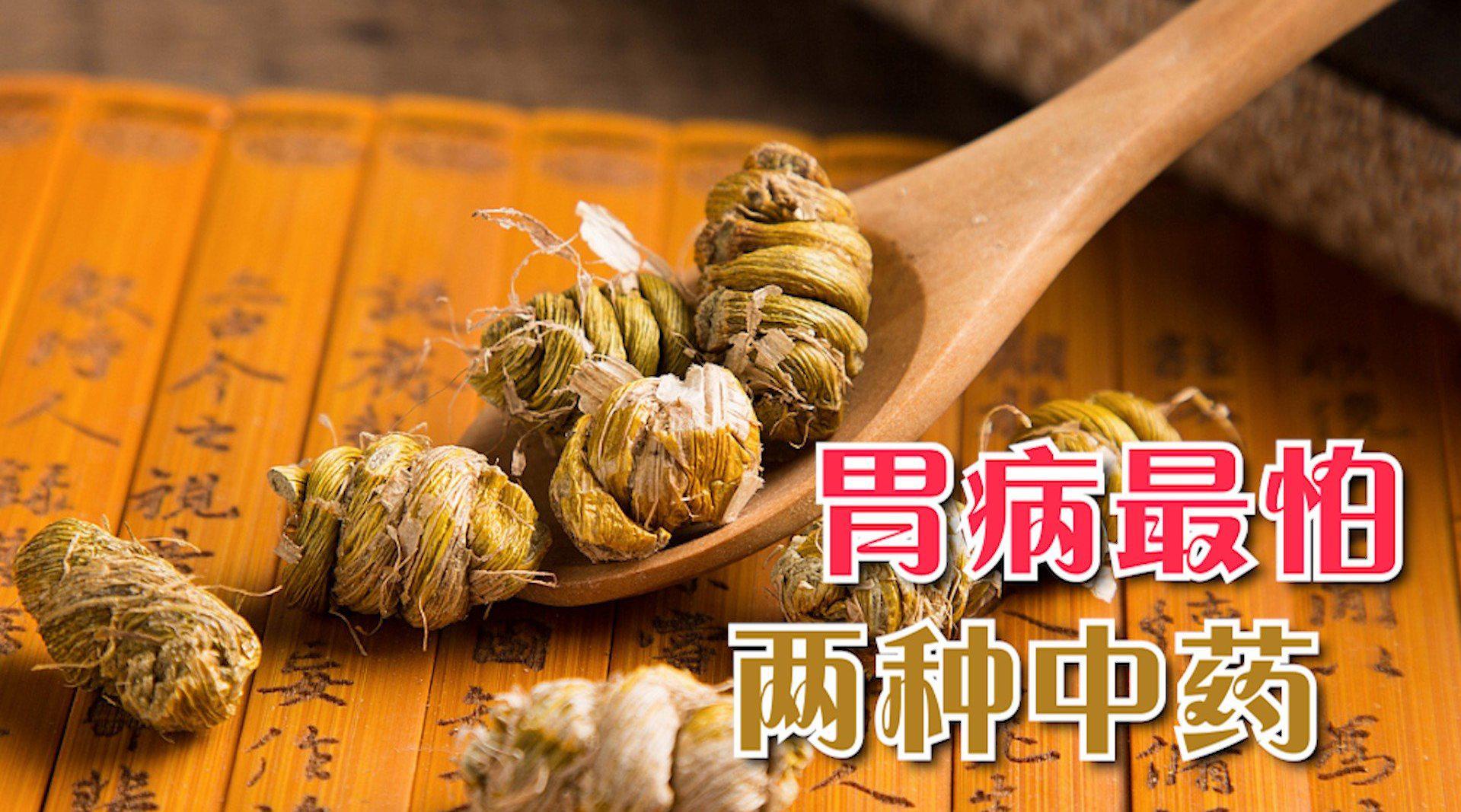 中医说中药:茯神茯苓有区别 为您推荐: 公公看见药方账单,胃病是趾妹