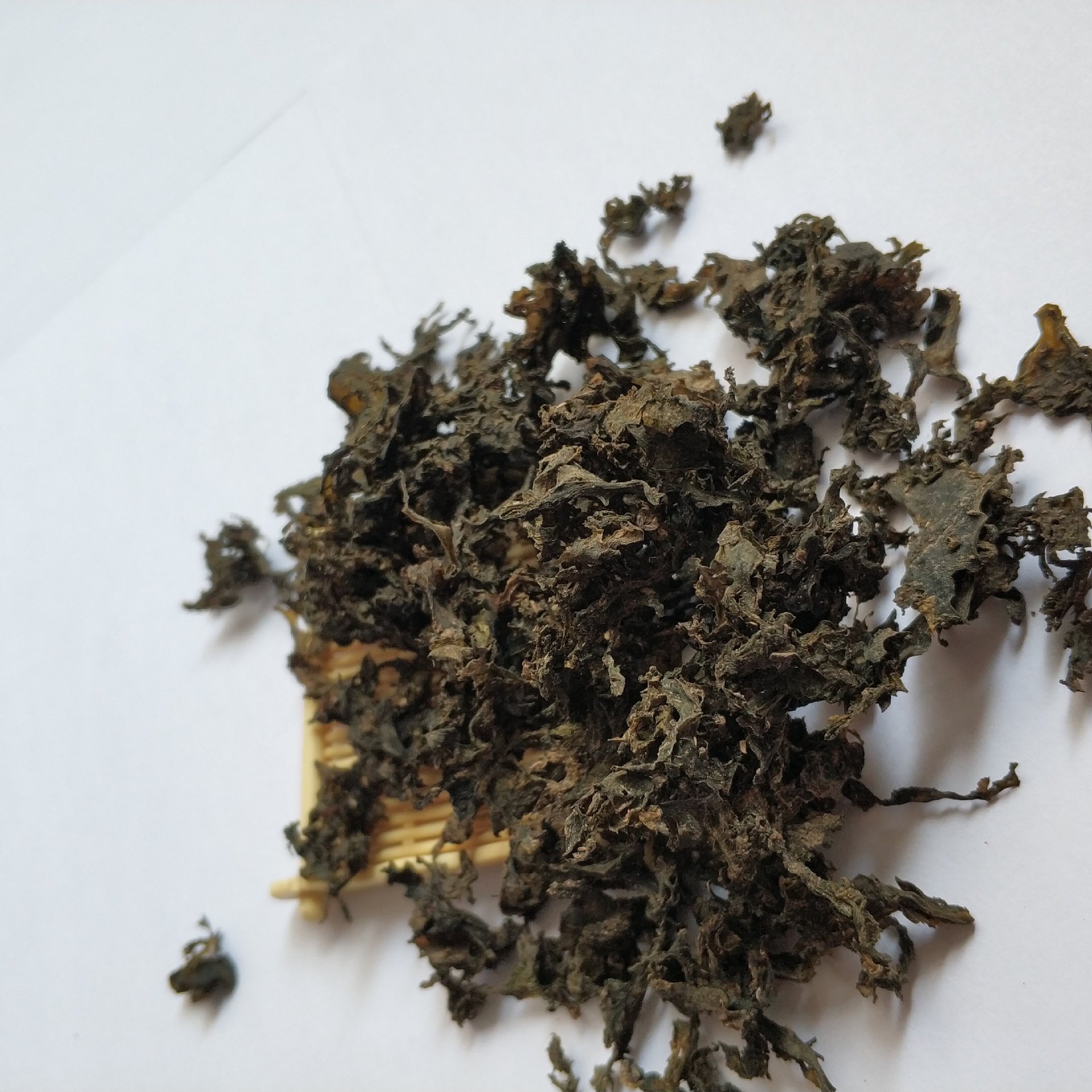 这野菜看起来"脏",比骨头汤还补钙 营养极高 骨骼变强壮|地皮菜|野菜