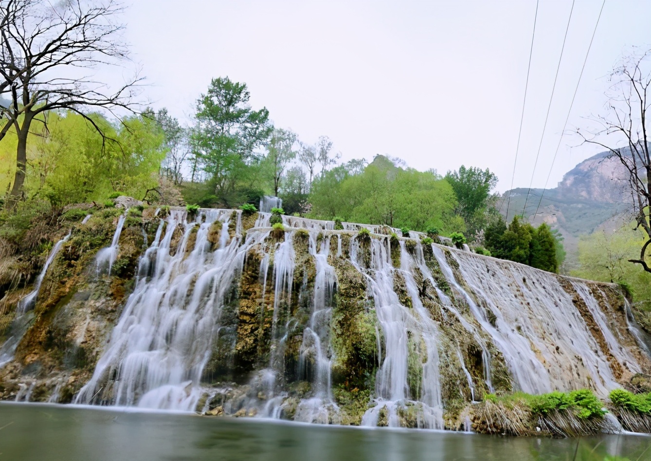假期沕沕水旅行看遍百丈瀑布滔滔不绝千年花开景色烂漫