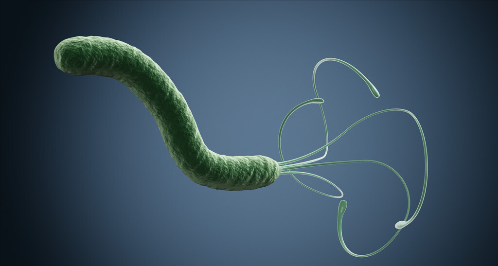 幽门螺杆菌胃病最大的祸根医学专家教你3招彻底杀菌不复发