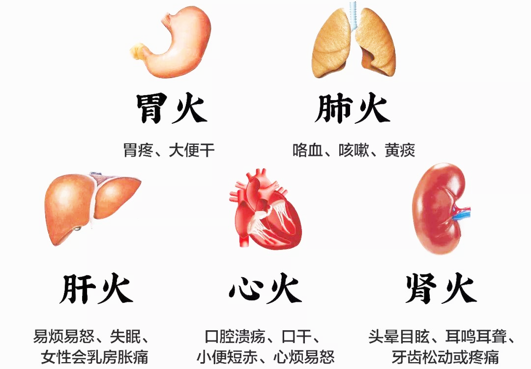 吃什么食物可以去火【上火的食物】