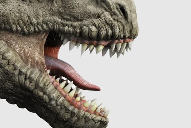 25亿只霸王龙科学家研究表明历史上一共出现过这么多恐龙杀手