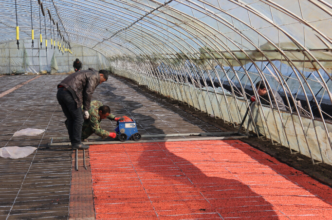 八五九分公司水稻播种工作陆续展开