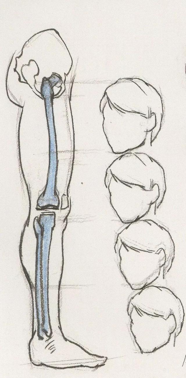 速写局部之下肢的刻画肩肘部位的表现要注意整个上肢的基本结构,特别