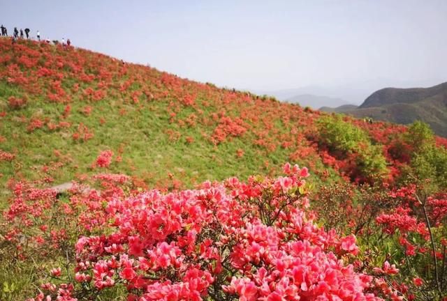 黄岩|太湖|智仁_新浪新闻