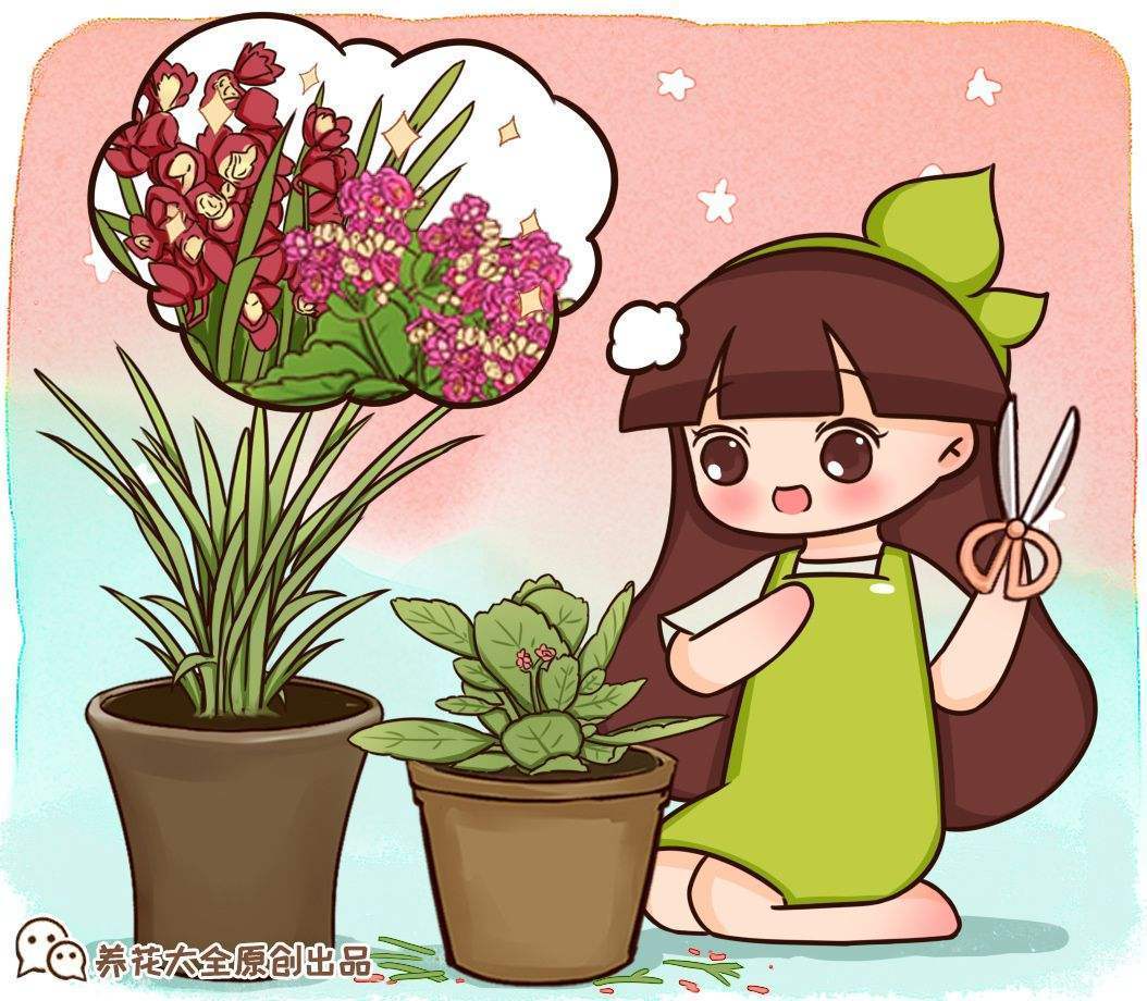 修剪花草,注意这几个部位,否则变成"一剪没"!