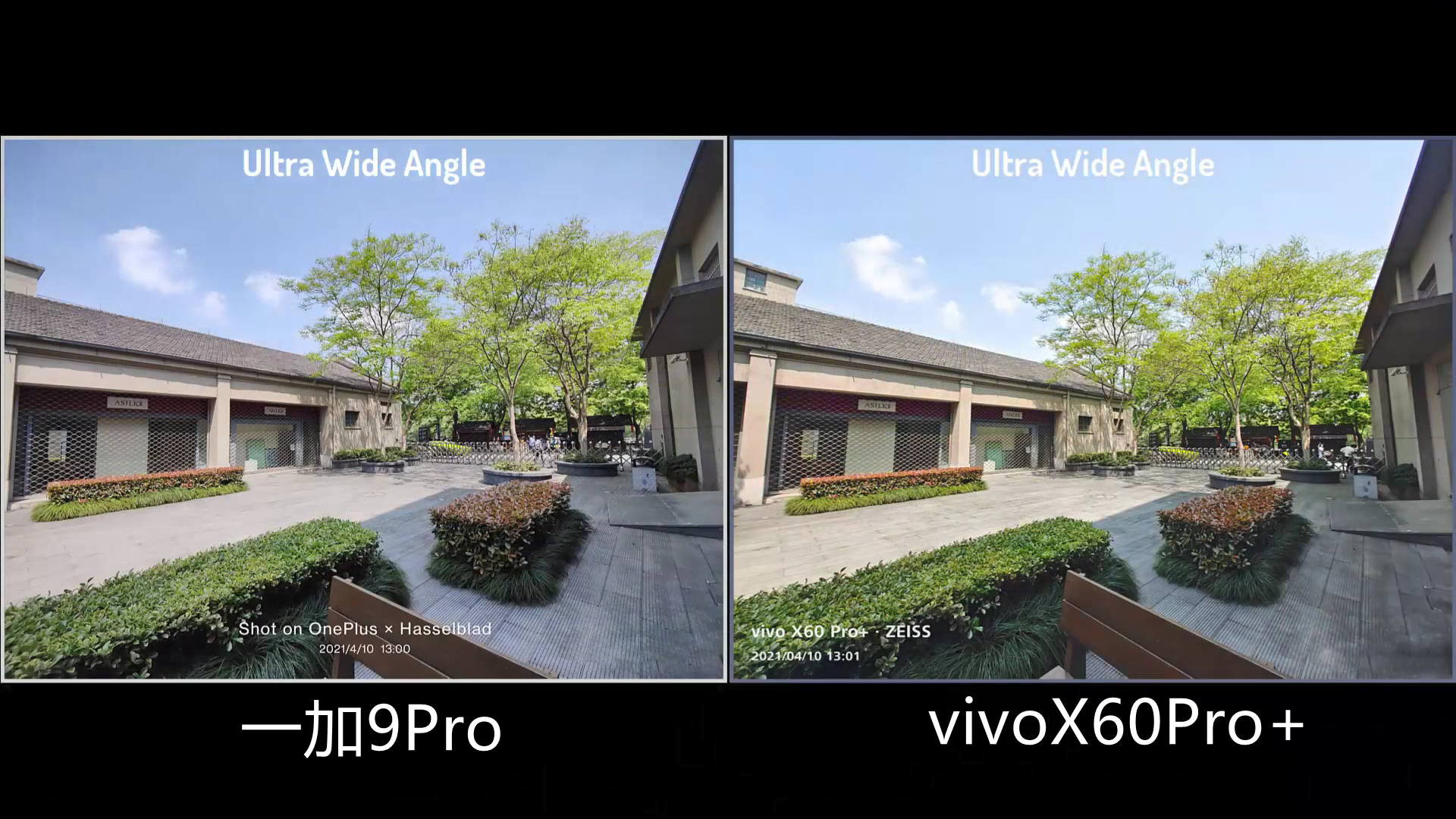 那么分别有了哈苏和蔡司的加持,一加9pro和vivox60pro 之间在拍照方面