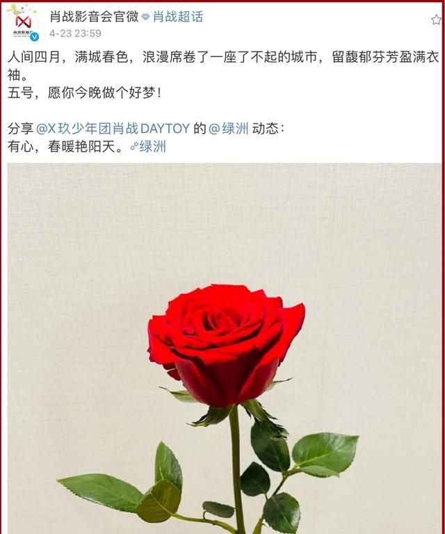 肖战深夜更文回应工作室善举有心春暖艳阳天