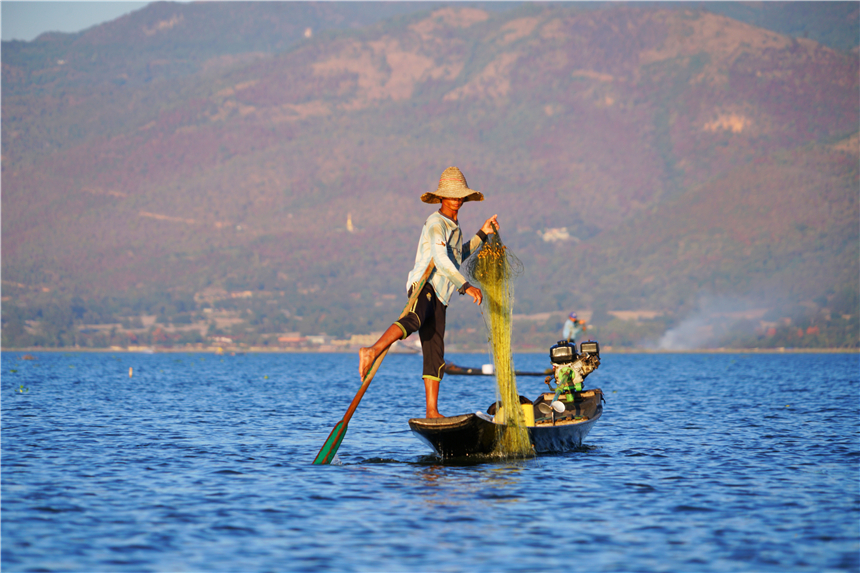 缅甸茵莱湖上的独特风景菜园子漂在水面上渔夫划船不用浆