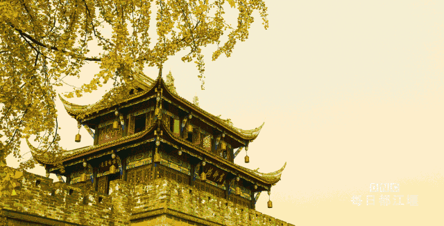 640_327gif 动态图 动图