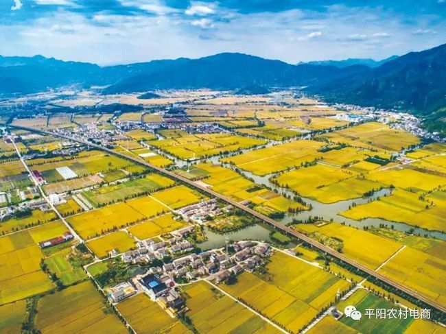 平阳县借力电商全面推进乡村振兴