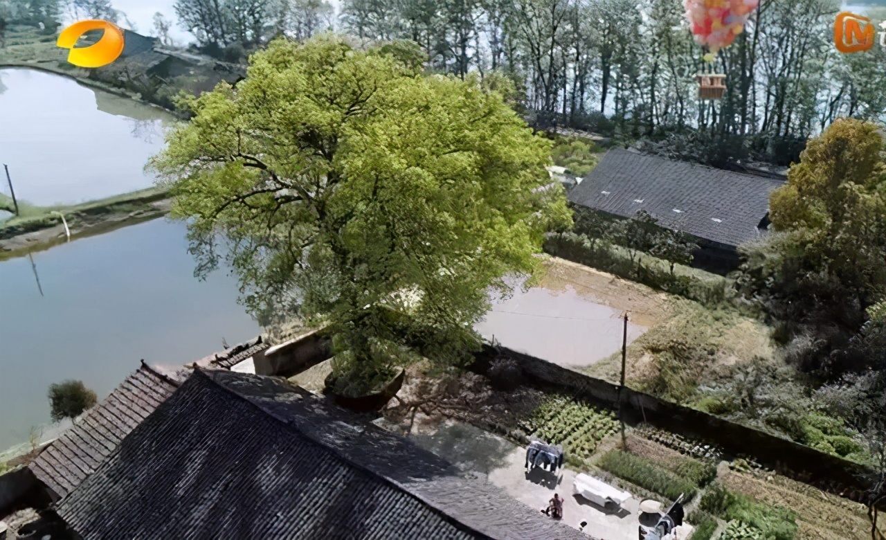 向往的生活5开播新蘑菇屋啥都没有桃花源竟与泡脚最配