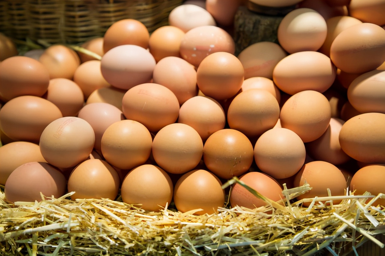 探讨鸡蛋价格背后隐藏的商业秘密 (探讨鸡蛋价格的书)