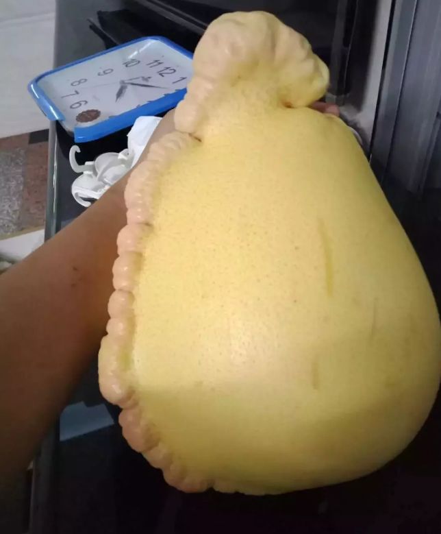 女子路边买回一大柚子迫不及待想打开品尝结果被弄得满头雾水