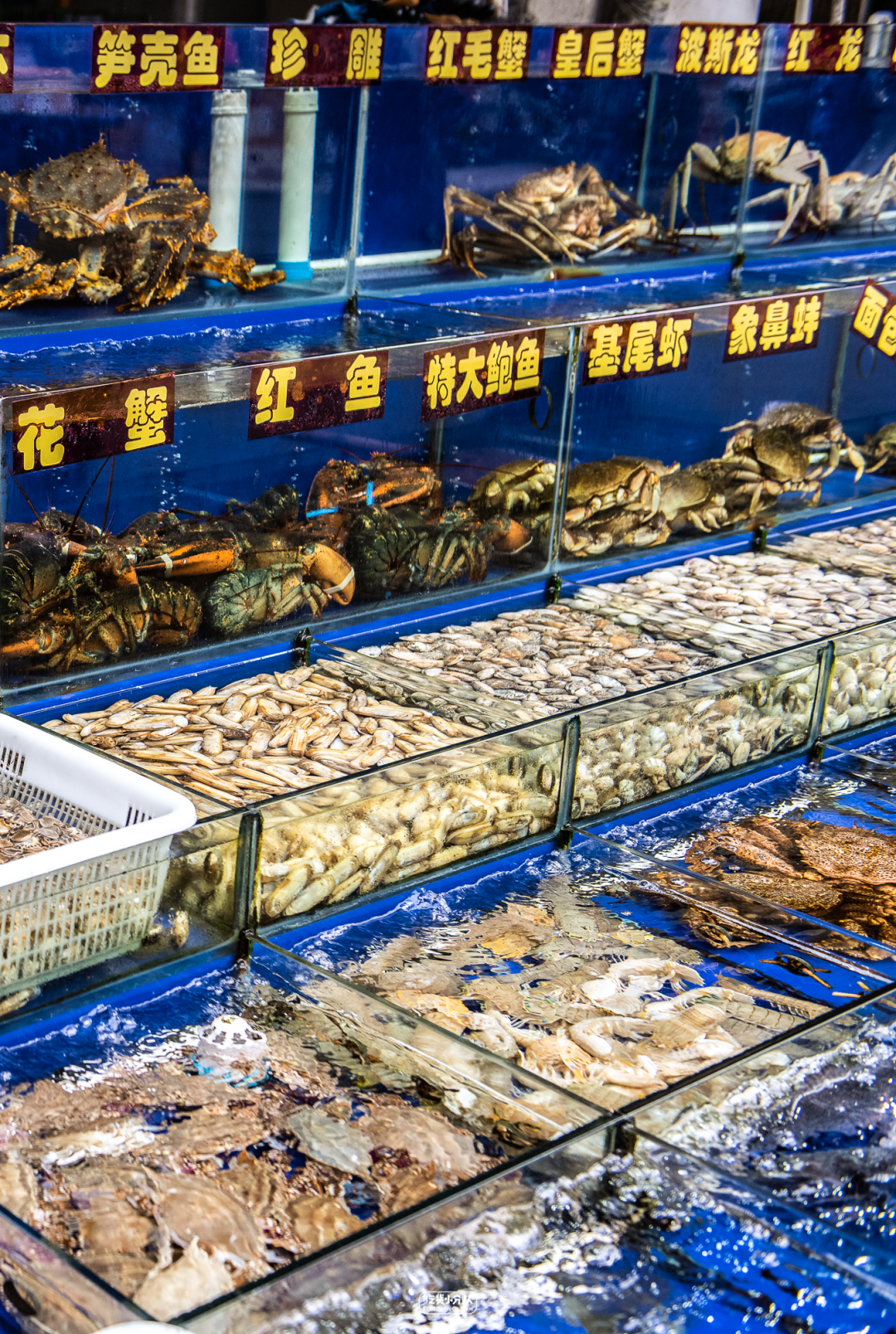 上海最大海鲜市场有多便宜