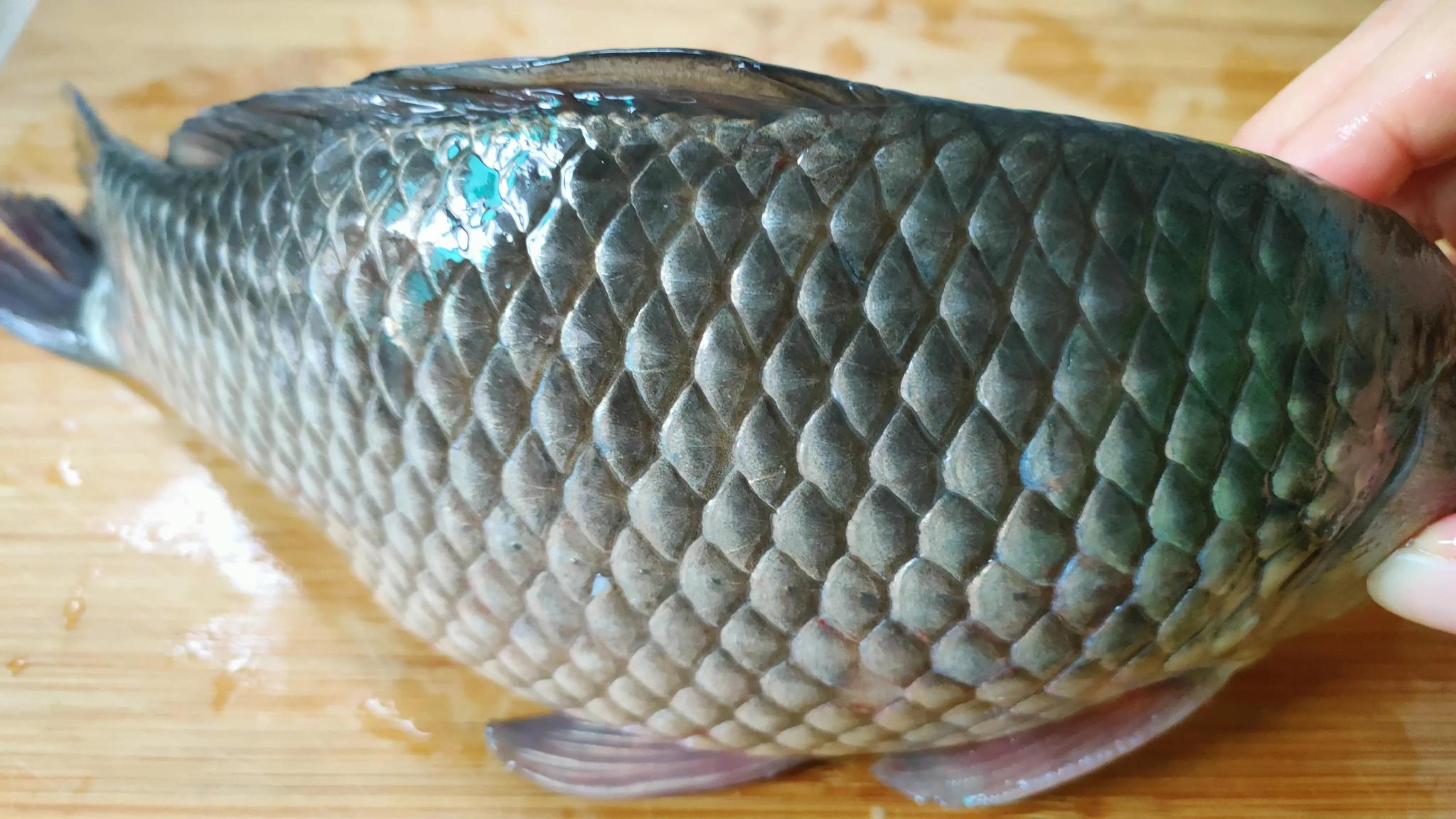 今天才知道,刮鱼鳞只需要一个胡萝卜,不飞溅不伤手,真实用.