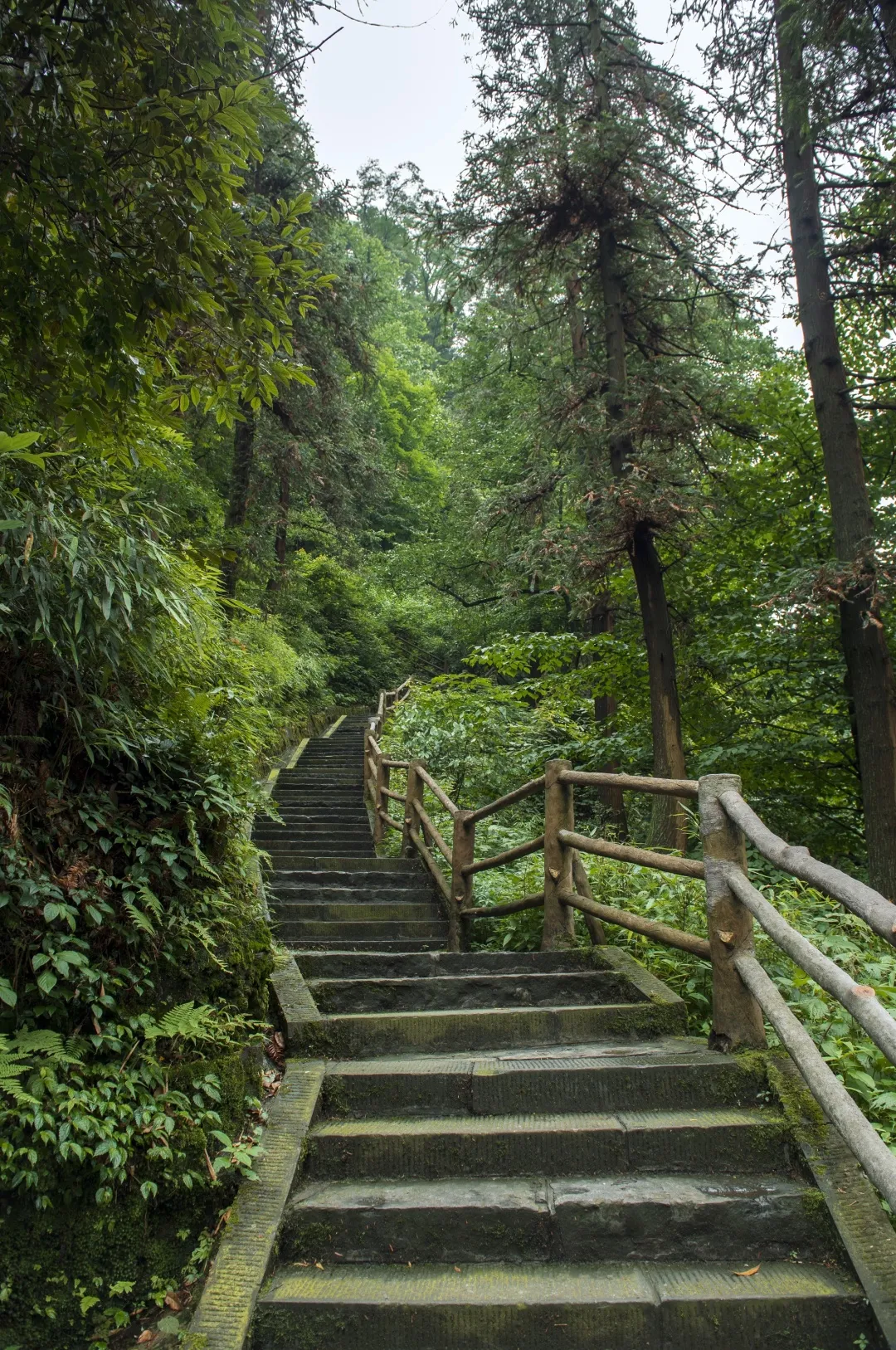 4天3夜峨眉山之行五一就这样安排妥了