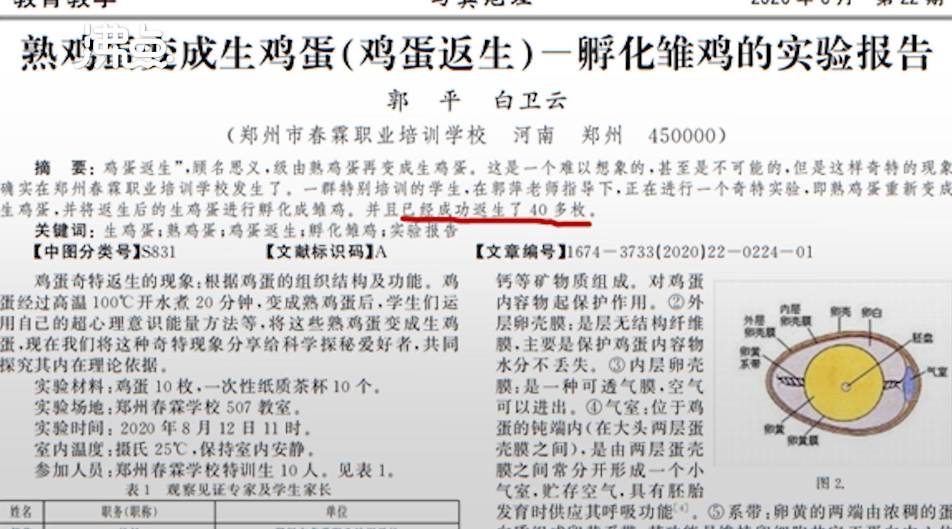 第二作者回应熟蛋返生孵雏鸡论文:被郭萍邀请观看实验 不知为何也被