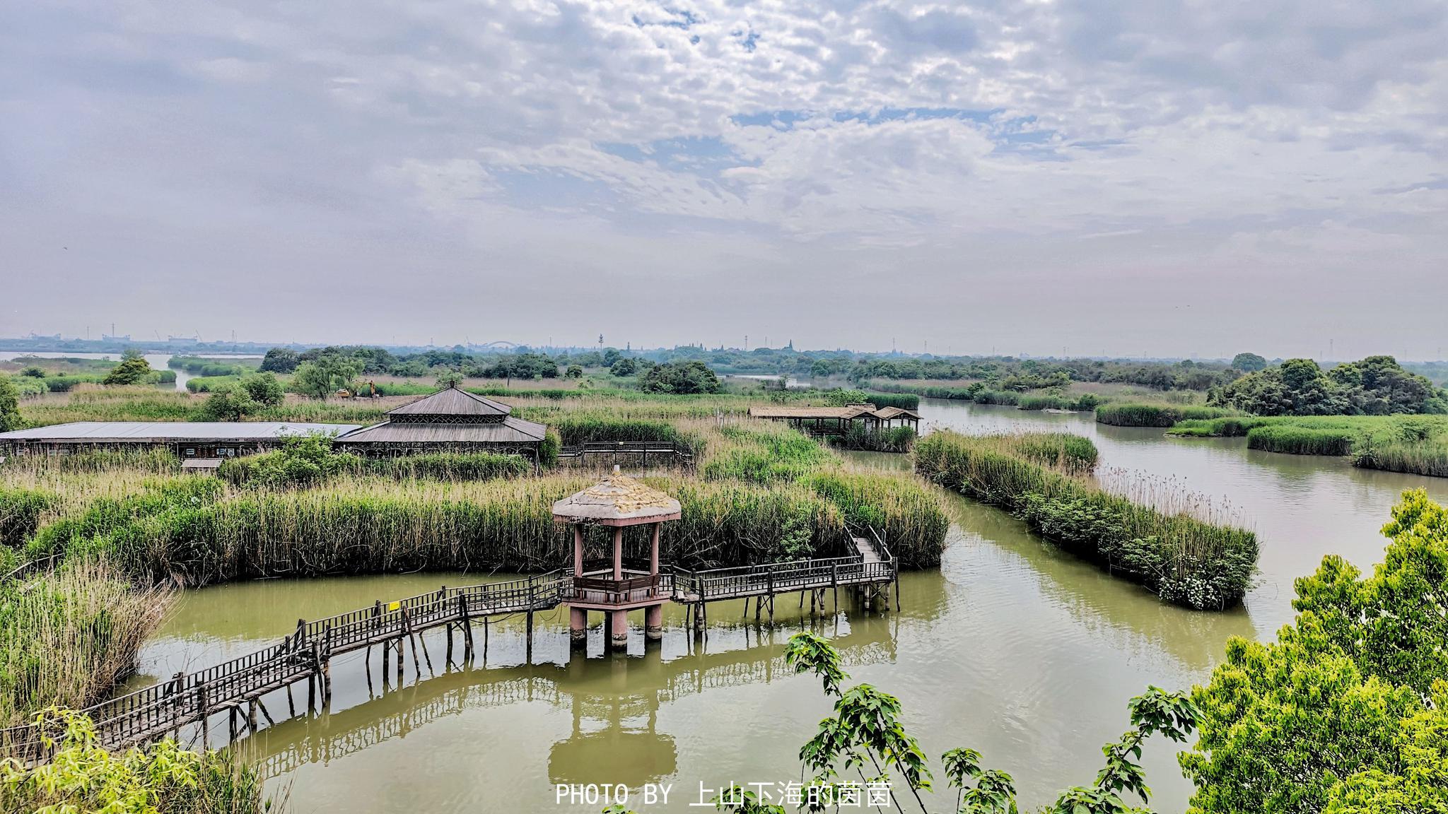 到中国最美湿地乘摇橹船,看朱鹮,吃鱼汤饭|下渚湖|西湖|朱鹮_新浪新闻