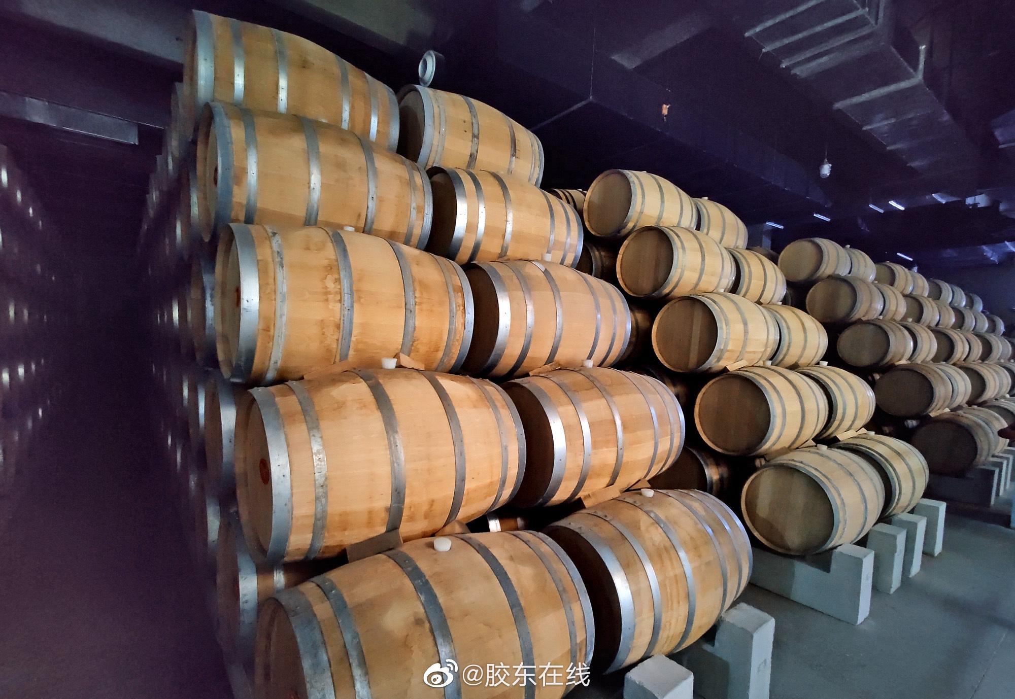 金奖大酒窖78号洞里不同年份的老橡木桶